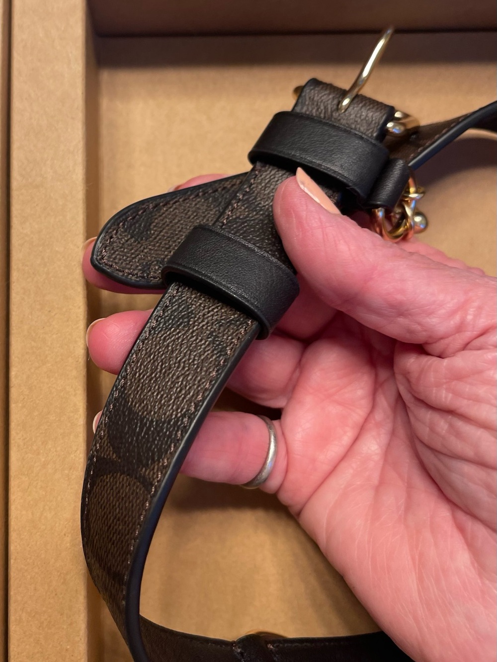 Coach Large Dog Collar with Brass Hardware